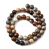 Natural Picture Jasper Beads Strands G-S390-07-8mm-3
