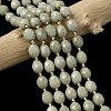 Natural Alashan Agate Beads Strands G-F809-A10-01-1