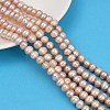 Natural Cultured Freshwater Pearl Beads Strands PEAR-I007-07J-07B-1