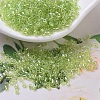 MIYUKI Delica Beads Small SEED-X0054-DBS0174-1