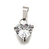 304 Stainless Steel Micro Pave Cubic Zirconia Pendants LS-STAS-B086-13P-04-1