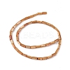 Natural Freshwater Shell Dyed Beads Strands SHEL-M018-11-11-2
