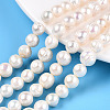 Natural Cultured Freshwater Pearl Beads Strands PEAR-S020-F11-01-1