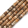 Natural Picture Jasper Heishi Beads Strands G-A299-A05-01-3