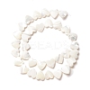 Natural Trochid Shell/Trochus Shell Beads SSHEL-O001-27C-1