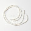 Dyed Natural Freshwater Shell Rondelle Bead Strands BSHE-O016-19D-2