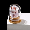 Arch Glass Jar Display Decorations with Natural Mixed Gemstone Bouquet Inside PW-WG72796-07-1