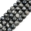 Natural Hawk's Eye Beads Strands G-S333-10mm-027-2