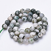 Natural Tree Agate Beads Strands G-S281-15-6mm-3