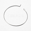 316 Surgical Stainless Steel Hoop Earrings Findings STAS-F149-32P-D-3
