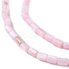 Natural Freshwater Shell Dyed Beads Strands X-SHEL-M018-12-09-3