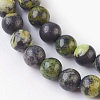 Natural Serpentine Beads Strands G-G767-05-6mm-3
