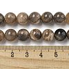 Natural Black Moonstone Beads Strands G-Q183-A01-01-5