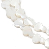 Natural Freshwater Shell Beads Strands SHEL-K010-02A-3