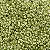 8/0 Glass Seed Beads SEED-A017-3mm-1112-2