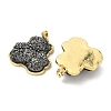 Brass Resin Pendants KK-C158-04A-G-2