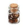 Transparent Glass Wishing Bottle Decoration DJEW-A001-01C-12-4