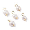 Natural Cultured Freshwater Pearl Charms X-PALLOY-JF01098-03-1