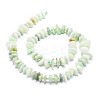 Natural Myanmar Jade/Burmese Jade Beads Strands G-E569-J14-2