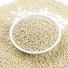 MIYUKI Round Rocailles Beads X-SEED-G008-RR0486-2