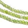 Natural Xiuyan Jade Beads Strands G-Z074-A04-02-4