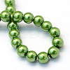 Baking Paint Pearlized Glass Pearl Round Bead Strands HY-Q003-10mm-13-4
