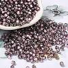 Transparent Inside Colours Glass Seed Beads SEED-H002-A-C209-1