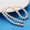 Natural Cultured Freshwater Pearl Beads Strands X-A02S7013-2