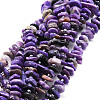 Natural Charoite Beads Strands G-E569-K04-1