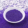 MIYUKI Round Rocailles Beads SEED-X0054-RR0176-2