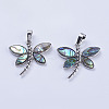 Abalone Shell/Paua Shell Pendants X-SSHEL-L008-07P-2