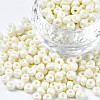 6/0 Glass Seed Beads SEED-S058-A-F207-1