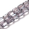 Electroplate Glass Beads Strands EGLA-D030-19N-1