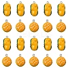 20Pcs 2 Styles Opaque Resin Pendants RESI-YW0003-40-1