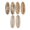 Natural Fossil Coral Pendants G-B187-01C-02-1