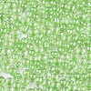 6/0 Glass Seed Beads SEED-A015-4mm-2214-2