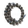 Natural Labradorite Beads Strands G-G980-03-3