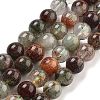 Natural Four Seasons Lodolite Quartz Beads Strands G-Z063-A02-02-1