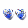 Handmade Lampwork Beads LAMP-T011-04C-2