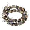 Natural Labradorite Beads Strands G-L642-L02-10mm-3