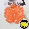 Resin Luminous Glow in the Dark Pebbles Stone PW-WG30806-08-1