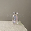 Glass Vase Miniature Ornaments PW-WGE60FD-01-1