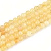 Natural Yellow Amber Beads Strands G-N351-04A-01-1