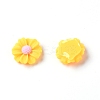 Resin Cabochons LS-RESI-TAC0006-02A-02-1