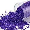 TOHO Round Seed Beads SEED-JPTR15-0048-1