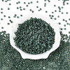 6/0 Transparent Inside Colours Glass Seed Beads SEED-N008-08D-2