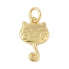 Brass Pendants KK-L245-03G-04-1