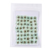 Centaurea Iberica Embossing Dried Flower DIY-K032-65H-1