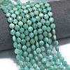 Natural Amazonite Beads Strands G-K389-B42-01-2