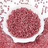 6/0 Transparent Inside Colours Glass Seed Round Beads X1-SEED-N006-004L-2